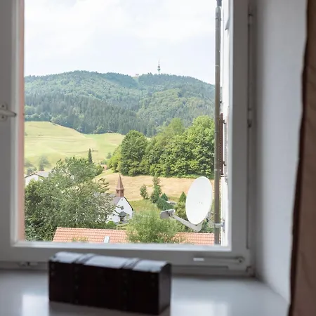 Apartment In Marzell With Private Garden