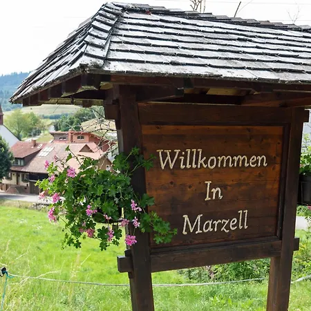 Apartment In Marzell With Private Garden