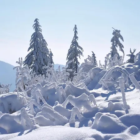 Flucht In Malsburg-Marzell